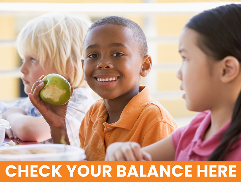 Check Your Balance Here